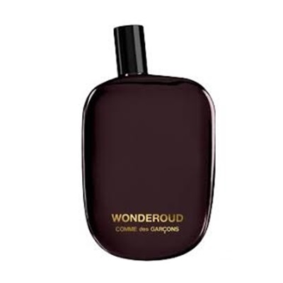  | کومه دس گارسنز واندرعود | Comme des Garcons Wonderoud