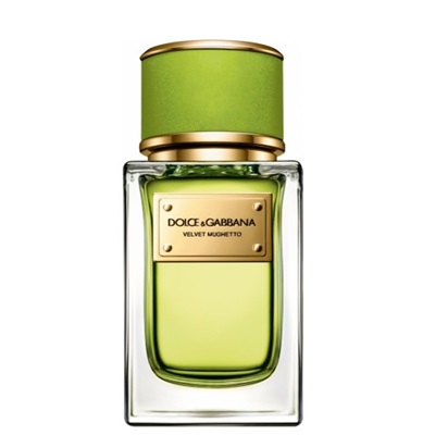 قیمت خرید عطر و ادکلن | دولچه گابانا ولوت موگتو | Dolce & Gabbana Velvet Mughetto