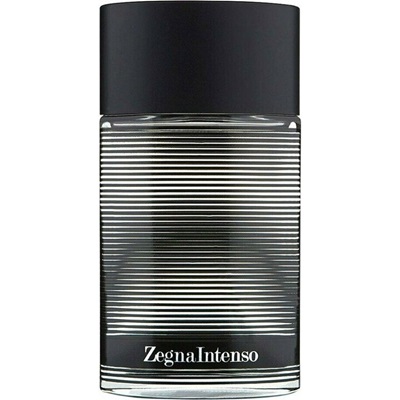  | ارمنگیلدو زگنا زگنا اینتنسو | Ermenegildo Zegna Zegna Intenso