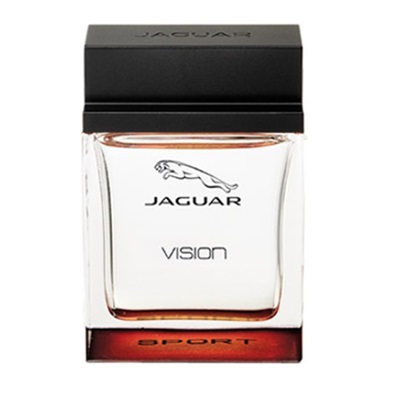  | جگوار ویژن اسپرت | Jaguar Vision Sport