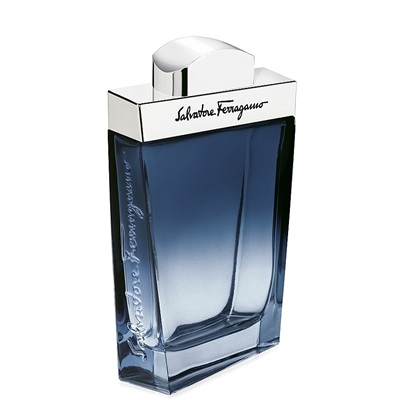  | سالواتوره فراگامو سابتیل پور هوم | Salvatore Ferragamo Subtil Pour Homme