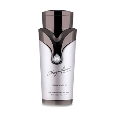 عطر فروشی | آرماف مگنیفیسنت پورهوم مردانه | Armaf Magnificent Pour Homme