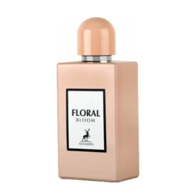 10 عطر اقتصادی با کیفیت عالی: بهترین انتخاب‌ها برای هر بودجه