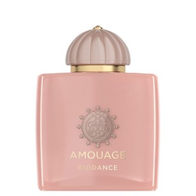 قیمت عطر و ادکلن حراج دیجی کالا | تستر اورجینال عطر آمواج گایدنس | Amouage Guidance Tester