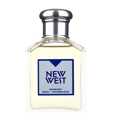 قیمت حراج عطر و ادکلن | آرامیس نیو وست | Aramis New West