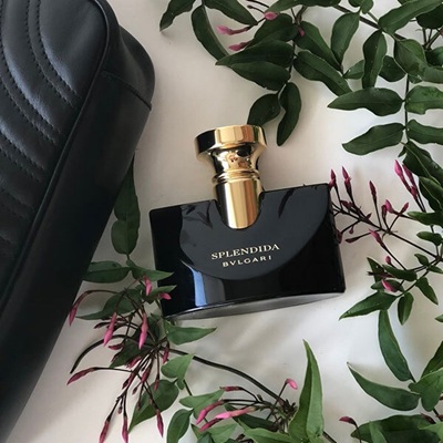 پخش بوی عطر و ادکلن بولگاری جاسمین نویر (Bvlgari Jasmin Noir EDP)