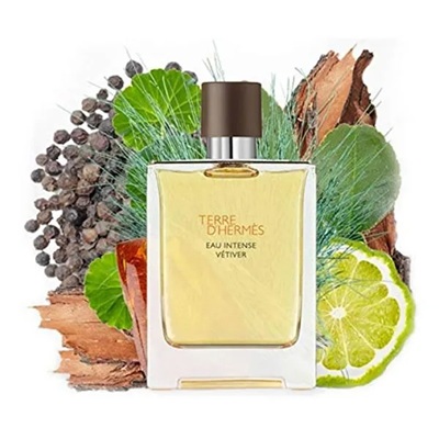 بررسی رایحه و بوی عطر ادکلن هرمس تق هرمس (Hermes Terre d’Hermes)