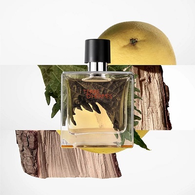 پخش بوی عطر ادکلن هرمس تق هرمس (Hermes Terre d’Hermes)