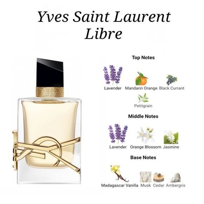 بررسی رایحه و بوی عطر ادکلن ایو سن لورن لیبره (Yves Saint Laurent Libre)