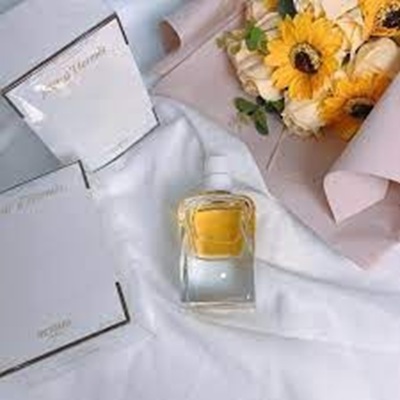 مناسبت های استفاده عطر و ادکلن هرمس ژور دهرمس (Hermes Jour d’Hermes)