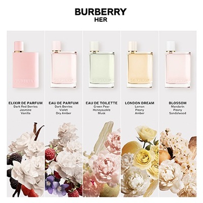 دیدگاه و نظرات استفاده کنندگان عطر و ادکلن باربری هر (Burberry Her)