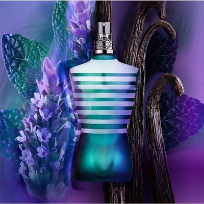 بررسی رایحه و بوی عطر و ادکلن ژان پل گوتیه له میل (Jean Paul Gaultier Le Male)