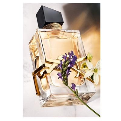 پخش بوی عطر و ادکلن ایو سن لورن لیبر اینتنس (Yves Saint Laurent Libre Intense)